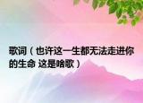 歌詞（也許這一生都無法走進(jìn)你的生命 這是啥歌）