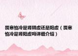 畏寒怕冷是腎陰虛還是陽虛（畏寒怕冷是腎陽虛嗎詳細(xì)介紹）