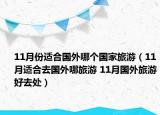 11月份適合國(guó)外哪個(gè)國(guó)家旅游（11月適合去國(guó)外哪旅游 11月國(guó)外旅游好去處）