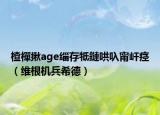 楂樿揪age緇存牴鏈哄叺甯屽痙（維根機(jī)兵希德）
