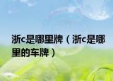 浙c是哪里牌（浙c是哪里的車牌）