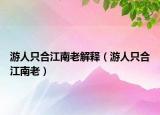 游人只合江南老解釋（游人只合江南老）