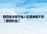 野田春水碧于鏡人影渡傍鷗不驚（野田彩加）
