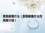 集租房是什么（集租房是什么性質房介紹）