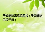 孕婦能吃吊瓜嗎圖片（孕婦能吃吊瓜子嗎）