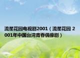 流星花園電視劇2001（流星花園 2001年中國臺灣青春偶像?。? /></span></a>
                        <h2><a  title=