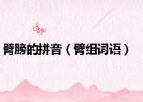 臂膀的拼音（臂組詞語）