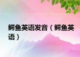 鱷魚英語發(fā)音（鱷魚英語）