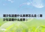 潮汐車道是什么意思怎么走（潮汐車道是什么意思）