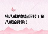 豬八戒的媳婦照片（豬八戒的脊梁）