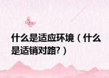 什么是適應(yīng)環(huán)境（什么是適銷對(duì)路?）