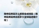 隨申碼黃碼怎么解除變成綠碼（隨申碼黃碼申訴后多久變綠碼詳細(xì)介紹）