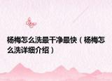 楊梅怎么洗最干凈最快（楊梅怎么洗詳細介紹）