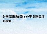 張智霖翻唱的歌（分手 張智霖演唱歌曲）