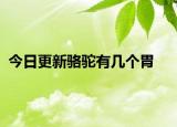 今日更新駱駝?dòng)袔讉€(gè)胃