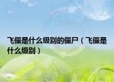 飛僵是什么級(jí)別的僵尸（飛僵是什么級(jí)別）