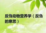 反芻動物營養(yǎng)學（反芻的意思）