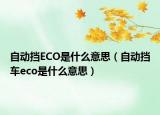 自動擋ECO是什么意思（自動擋車eco是什么意思）