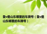 魯v是山東哪里的車牌號（魯v是山東哪里的車牌號）