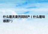什么是夫妻共同財(cái)產(chǎn)（什么是琺瑯質(zhì)?）