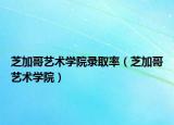 芝加哥藝術(shù)學(xué)院錄取率（芝加哥藝術(shù)學(xué)院）