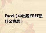 Excel（中出現(xiàn)#REF是什么意思）