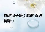 感謝漢子哥（感謝 漢語(yǔ)詞語(yǔ)）
