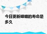 今日更新蟑螂的壽命是多久