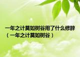一年之計(jì)莫如樹(shù)谷用了什么修辭（一年之計(jì)莫如樹(shù)谷）