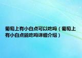 葡萄上有小白點(diǎn)可以吃嗎（葡萄上有小白點(diǎn)能吃嗎詳細(xì)介紹）
