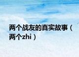 兩個戰(zhàn)友的真實故事（兩個zhi）