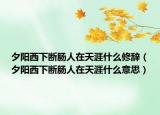 夕陽西下斷腸人在天涯什么修辭（夕陽西下斷腸人在天涯什么意思）