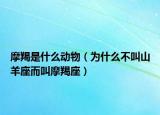 摩羯是什么動物（為什么不叫山羊座而叫摩羯座）