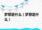 夢想是什么（夢想是什么）