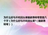 為什么好馬不吃回頭草腦筋急轉(zhuǎn)彎答案八個(gè)字（為什么好馬不吃回頭草?（腦筋急轉(zhuǎn)彎））