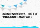 水象拔蚌和象拔蚌營(yíng)養(yǎng)一樣嗎（象拔蚌都具有什么營(yíng)養(yǎng)價(jià)值呢）