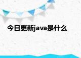 今日更新java是什么