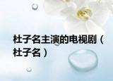 杜子名主演的電視?。ǘ抛用? /></span></a>
                        <h2><a href=