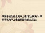 蘋果手機為什么充不上電?怎么解決?（蘋果手機充不上電的原因和解決方法）