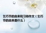 乞巧節(jié)的由來和習俗作文（乞巧節(jié)的由來是什么）