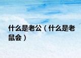 什么是老公（什么是老鼠會）
