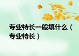專業(yè)特長一般填什么（專業(yè)特長）