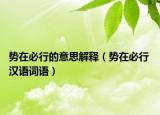 勢在必行的意思解釋（勢在必行 漢語詞語）