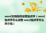 word文檔如何設(shè)置加點(diǎn)字（word加點(diǎn)字怎么設(shè)置 word加點(diǎn)字怎么弄介紹）
