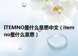 ITEMNO是什么意思中文（itemno是什么意思）