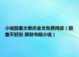 小說前妻太難追全文免費閱讀（前妻不好追 原創(chuàng)書殿小說）