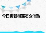 今日更新榴蓮怎么催熟