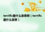 terrific是什么意思啊（terrific是什么意思）