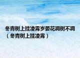 冬青樹上掛凌霄歲晏花凋樹不凋（冬青樹上掛凌霄）