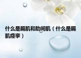 什么是膈肌和肋間?。ㄊ裁词请跫’d攣）